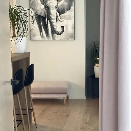 Apartment 2 Bedroom Premium In The Heart Of *